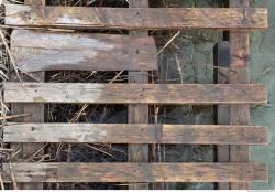 Photo Texture of Old Wood